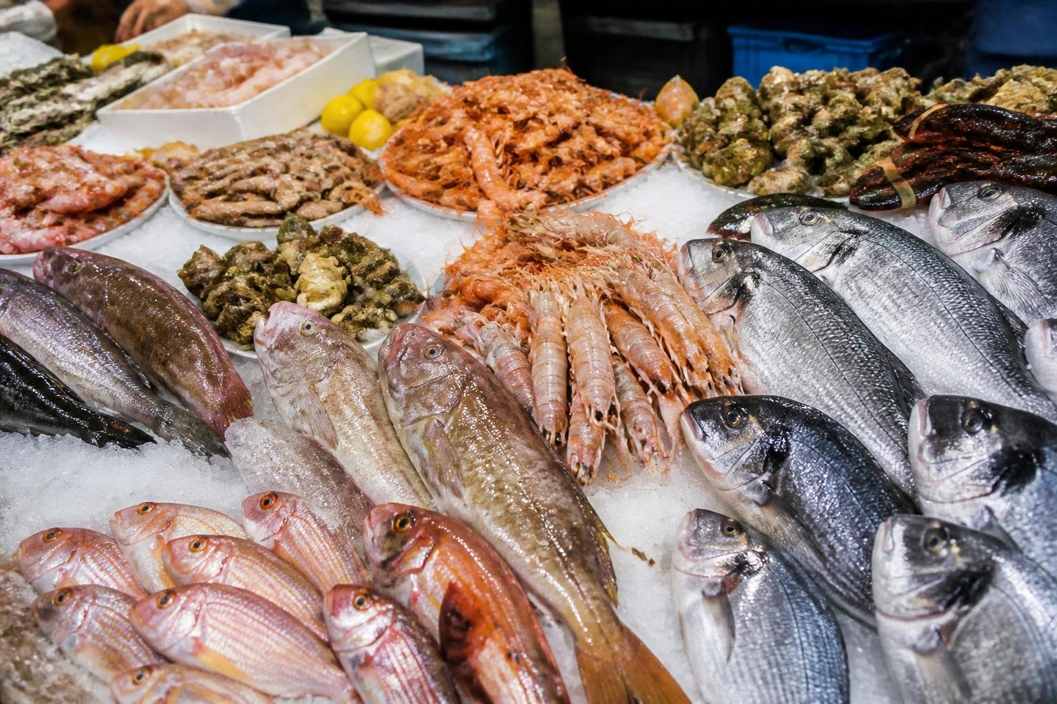 Étalage de poissons et fruits de mer frais sur un marché côtier