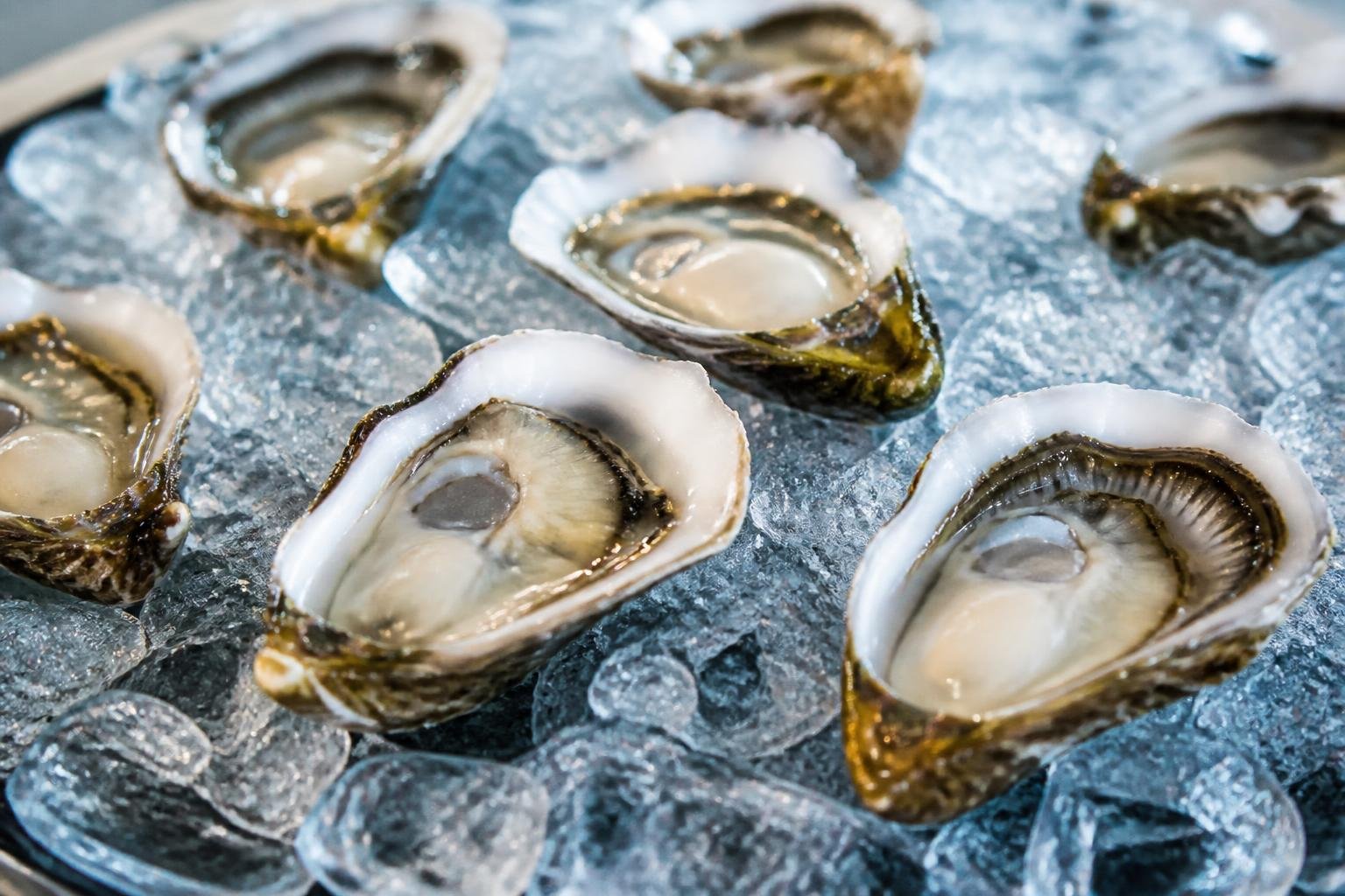 Huîtres fraîches sur lit de glaçons, symbole de l'hiver gastronomique