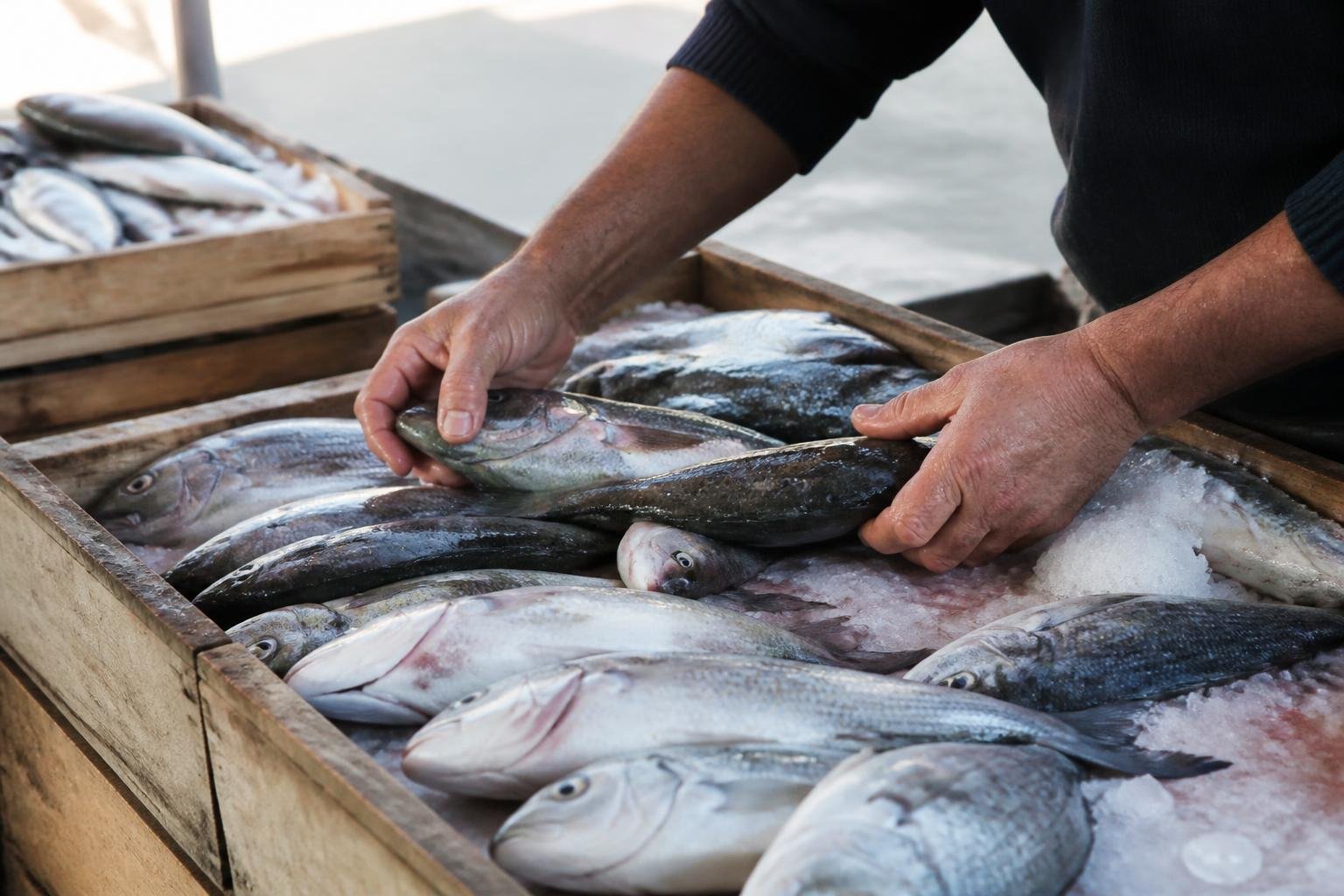 Sélection de poissons frais par le producteur local